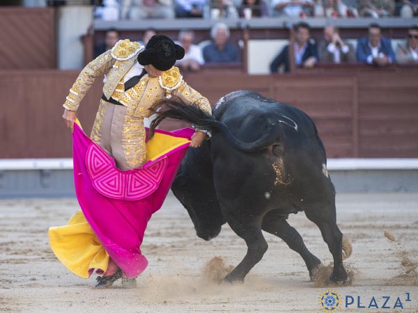 Ajustadas chicuelinas