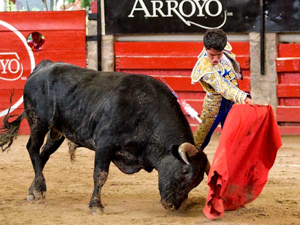 Perfilando el remate