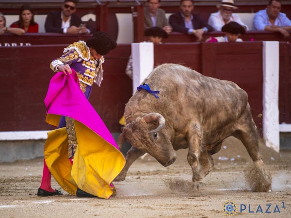 Bien plantado en las ver�nicas