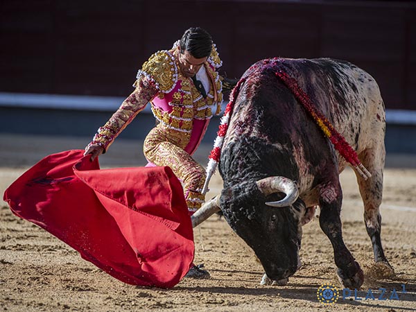 Sometiendo al burraco