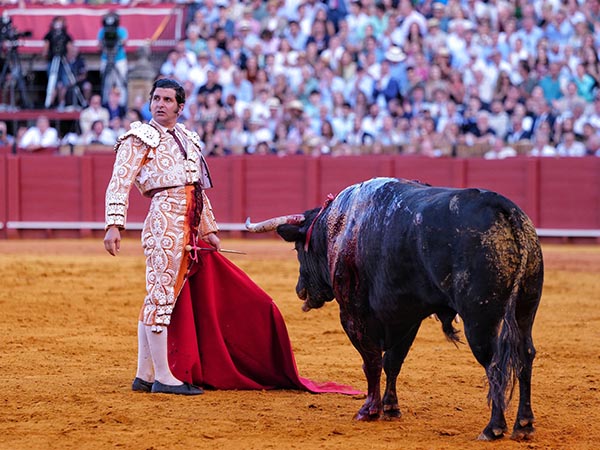 El genio de la Puebla