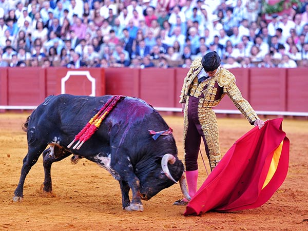 Por el pit�n izquierdo
