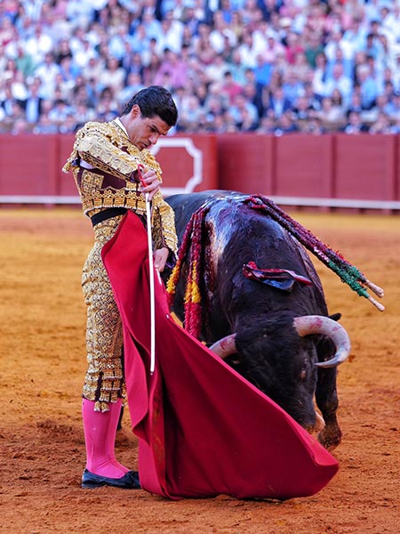 Verticalidad