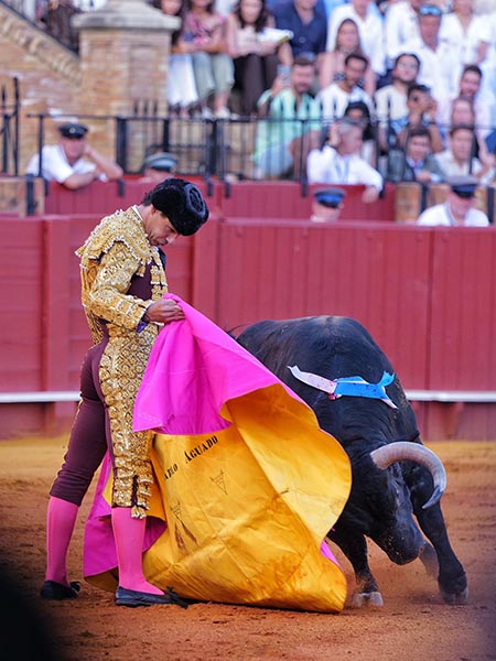 Las ver�nicas de Pablo