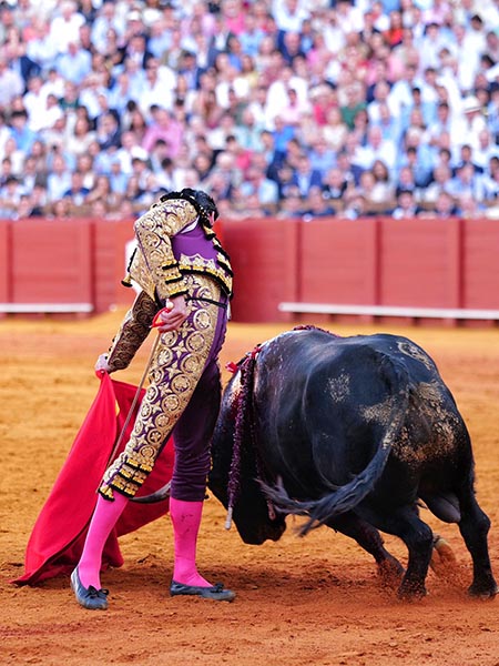 Alargando el trazo