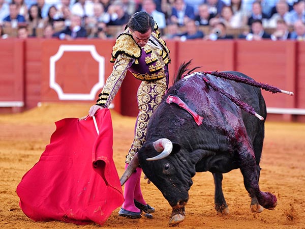 La codicia del negro