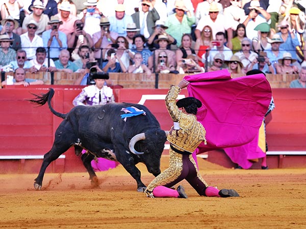 De hinojos en los medios
