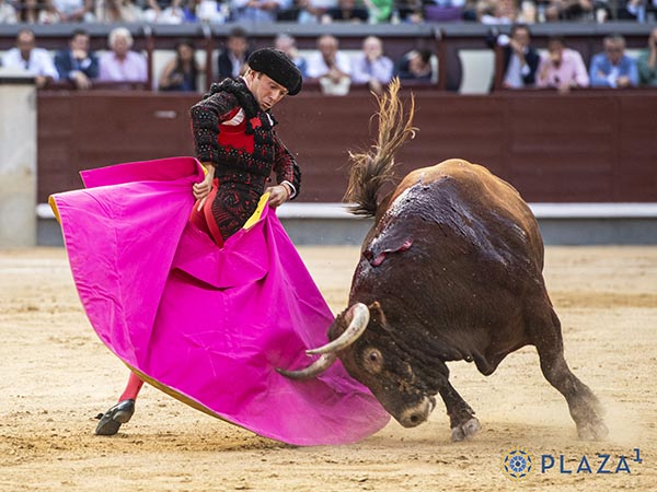 Brusco genio