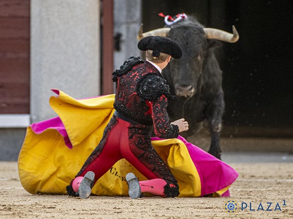 Clemente a portagayola