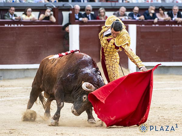 Sincero planteo de faena