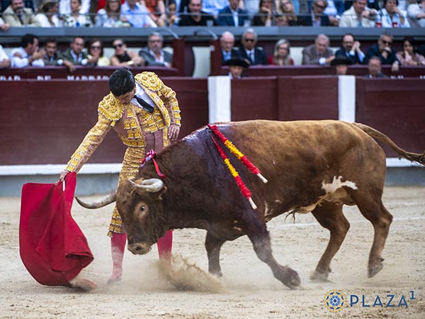 Pocas opciones para Pablo Aguado