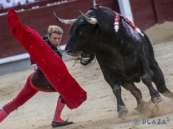 Rebrincado