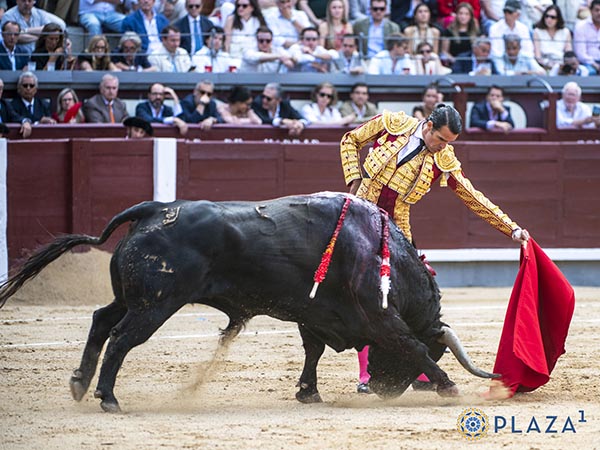 Pases sueltos de calidad