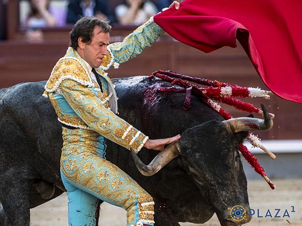 Habilidad y oficio