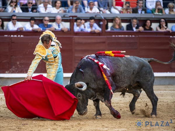 Lo mejor de su obra, por el derecho