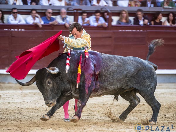 Luci�  en su primer faena