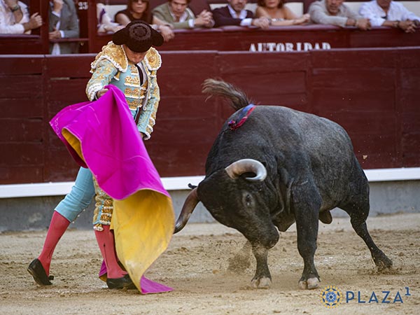 Rom�n y un serio c�rdeno
