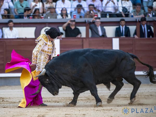 Variedad en el capote