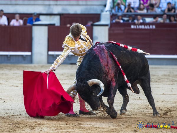 Alto de agujas