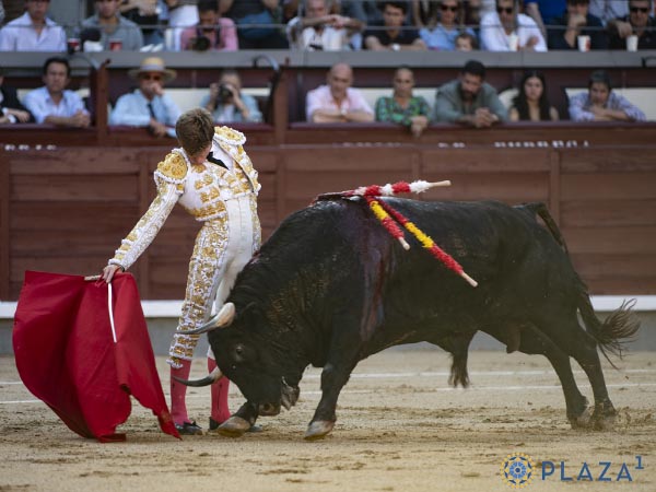 Pit�n derecho
