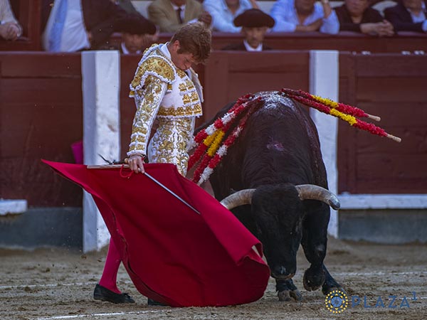 Sobre las rayas