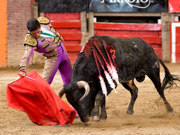 Templando la embestida