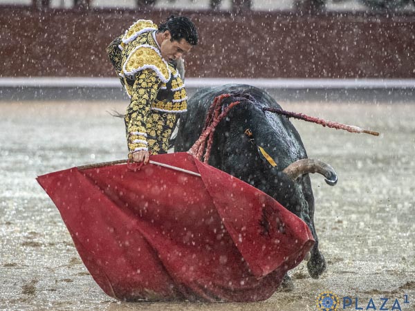 Bajo una cortina de agua