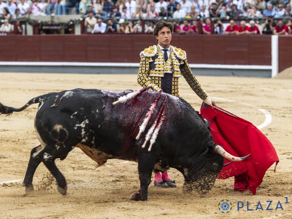 Mirada a la galera