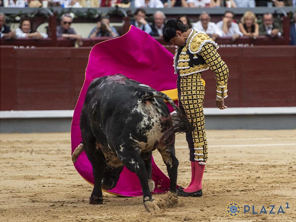 Los vuelos del percal