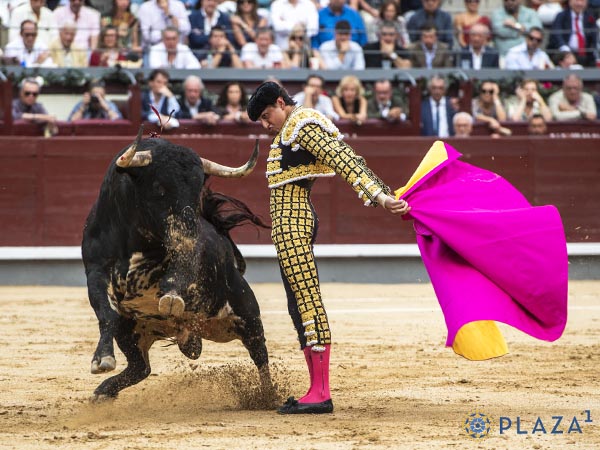 Rebrincado