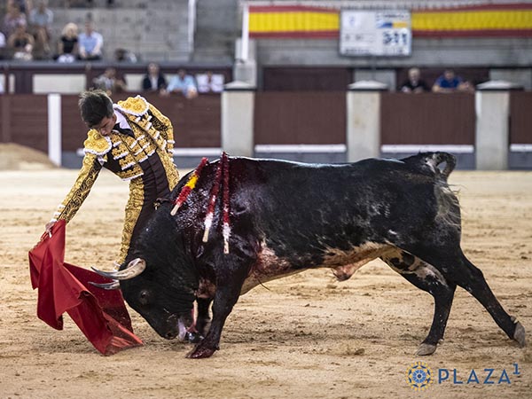 Tom� el enga�o con claridad