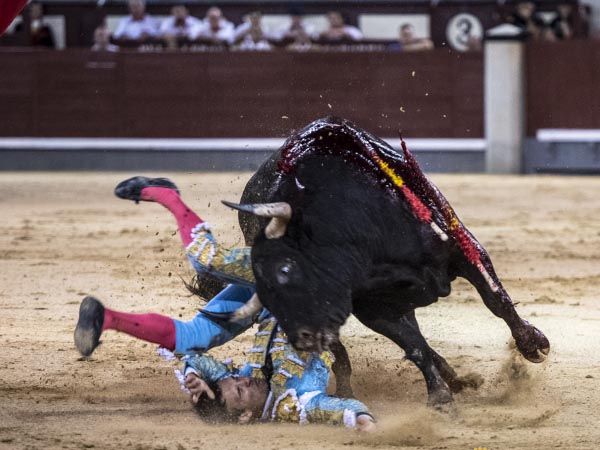 Torero en peligro