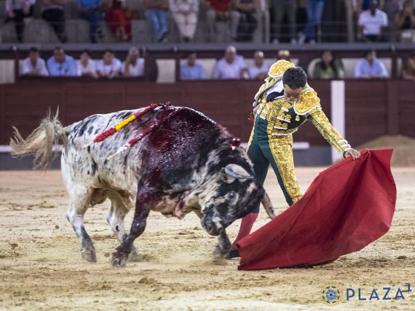 El izquierdo del carbonero