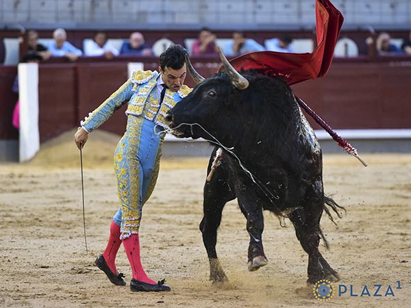 Remate por alto