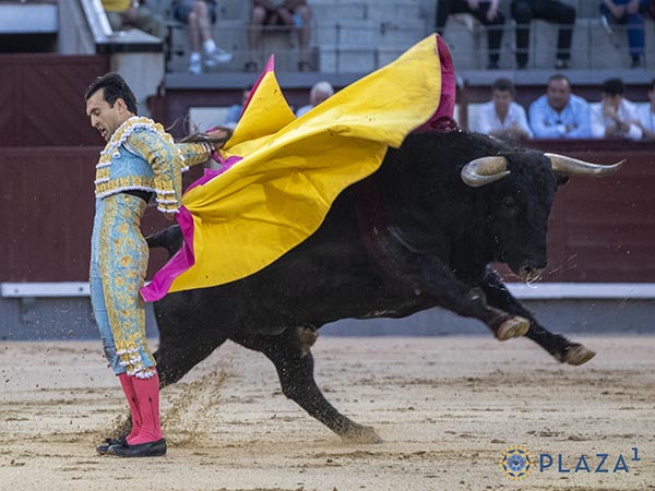 Percal amarillo