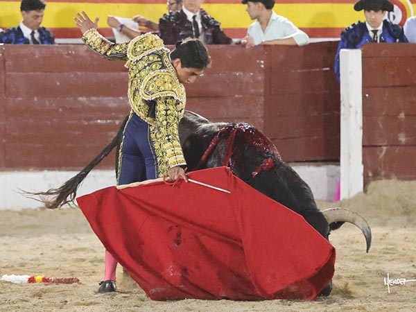 Mano baja