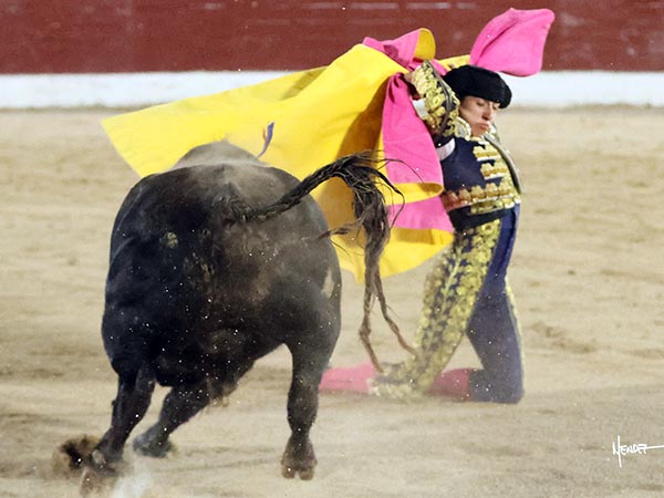 A por todo en el festejo
