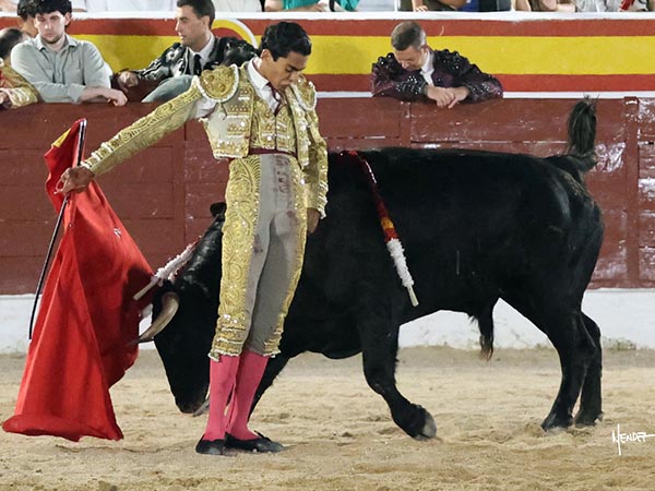 Valor juvenil