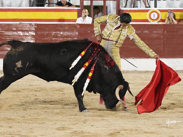 El izquierdo del astifino