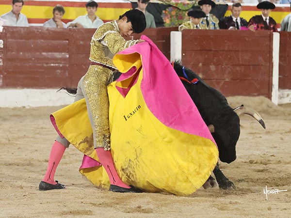 Las ver�nicas de Ignacio Garibay
