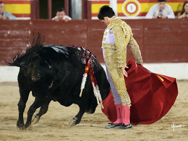 Reposo en las series