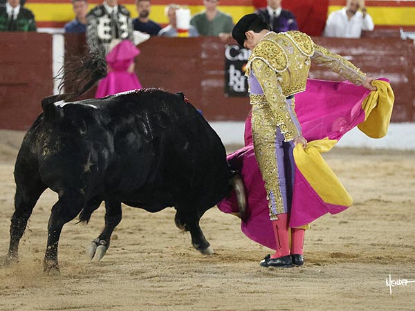 Evocando al Indio Grande