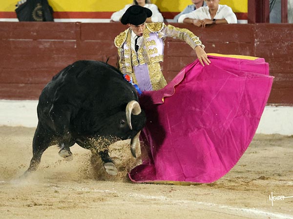 Dominando al negro