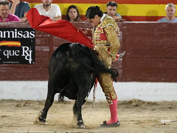 Verticalidad