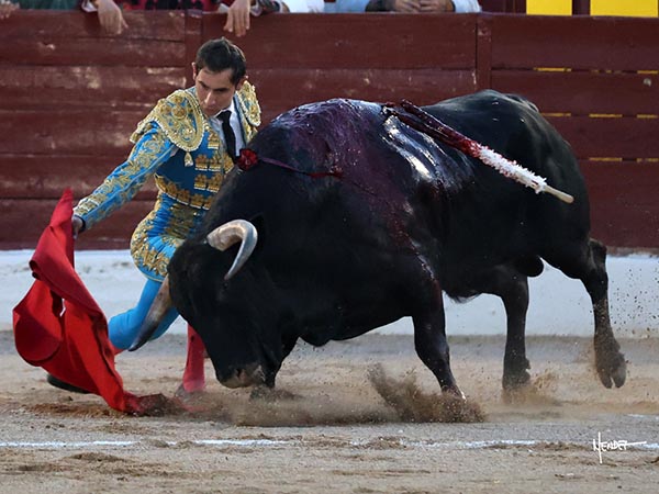 Flexiones en el tercio