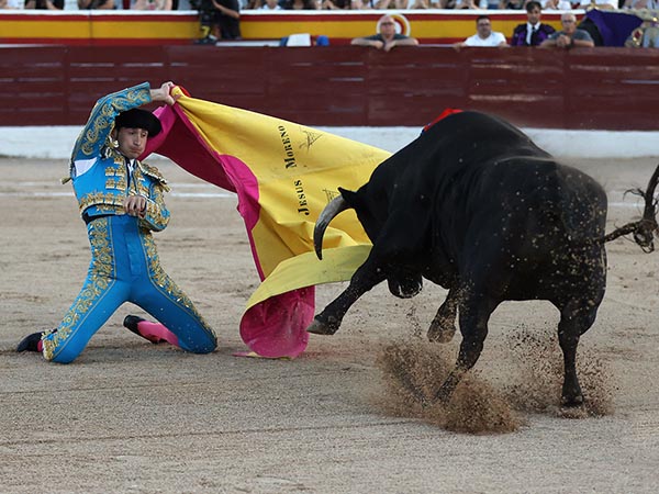 Moreno inicia la novillada