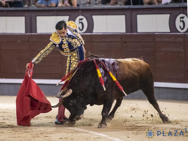 La segunda faena de San Rom�n
