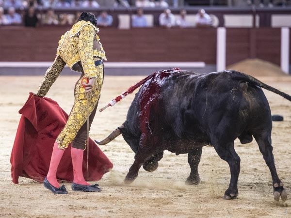 Luci� en su segundo turno