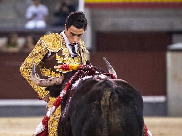 En la cara del ejemplar