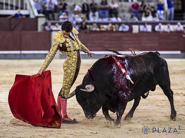 Reposadas tandas
